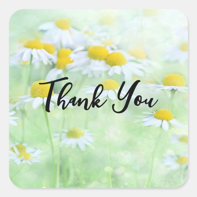 Pegatina Cuadrada Foto de Bonitos Daisies in a Field Gracias (Anverso)