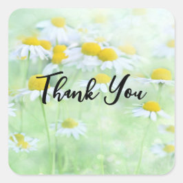 Pegatina Cuadrada Foto de Bonitos Daisies in a Field Gracias