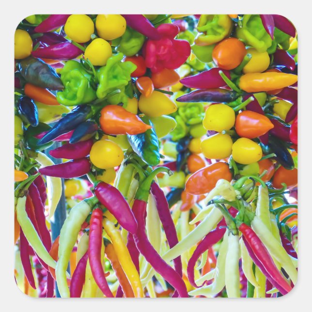 Pegatina Cuadrada Foto de Chili Vegetables (Anverso)