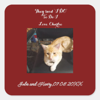 Pegatina Cuadrada Foto de gato ginger de boda personalizar texto