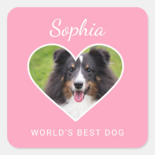 Pegatina Cuadrada Foto de mascota personalizada con forma de corazón