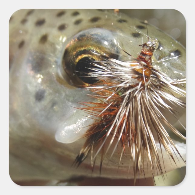 Pegatina Cuadrada Foto de Rainbow Trout (Anverso)