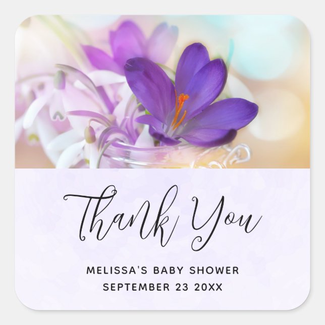 Pegatina Cuadrada Foto de un evento de la Primavera Púrpura en Crocu (Anverso)