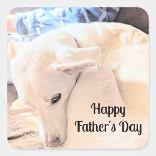 Pegatina Cuadrada Foto de un hermoso perro blanco con el día del pad