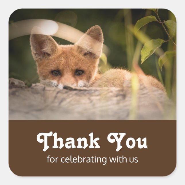 Pegatina Cuadrada Foto de un pequeño Naranja lindo Fox Gracias (Anverso)