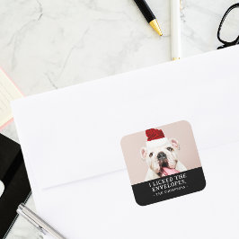 Pegatina Cuadrada Foto divertida de un perro Navidad personalizada F