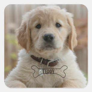 PEGATINA CUADRADA FOTO NOMBRE HUESO MEJOR MAMÁ PAPÁ PERRO CACHORRO D