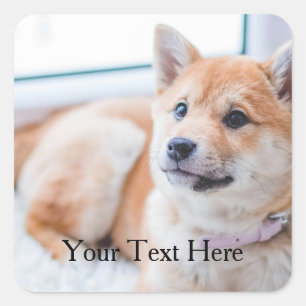 Pegatina Cuadrada Foto y texto personalizados de perro lindo