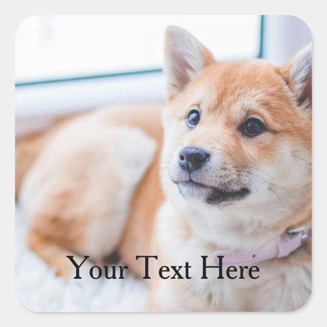 Pegatina Cuadrada Foto y texto personalizados de perro lindo (Anverso)