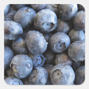 Pegatina Cuadrada Fotografía de Blueberries Frescas