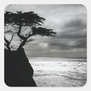 Pegatina Cuadrada Fotografía de la naturaleza blanco y negro