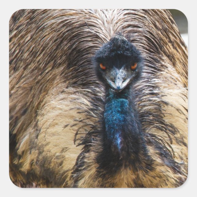 Pegatina Cuadrada Fotografía de la Naturaleza de la Naturaleza de lo (Anverso)