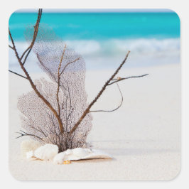 Pegatina Cuadrada Fotografía de Seashells en una playa