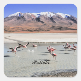 Pegatina Cuadrada fotografía del paisaje de Bolivia con flamencos