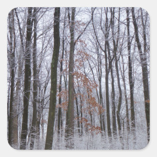 Pegatina Cuadrada Fotografía del paisaje invernal de la nieve desech