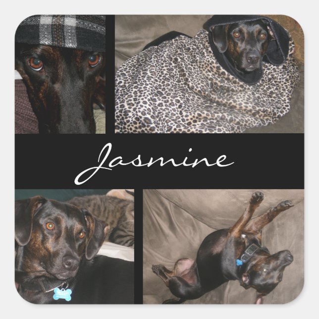Pegatina Cuadrada Fotos del personalizable Collage Monograma Perro a (Anverso)
