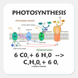 Pegatina Cuadrada Fotosíntesis (Fórmula química)