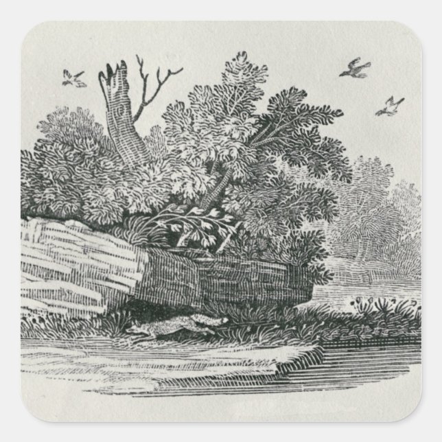 Pegatina Cuadrada Fox escapa, 'La historia general de (Anverso)