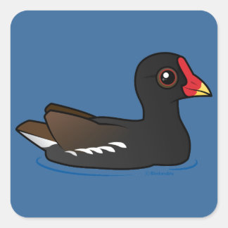 Pegatina Cuadrada Frecuente Moorhen