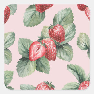 Pegatina Cuadrada Fresas maduras para el verano: rosa acuarela