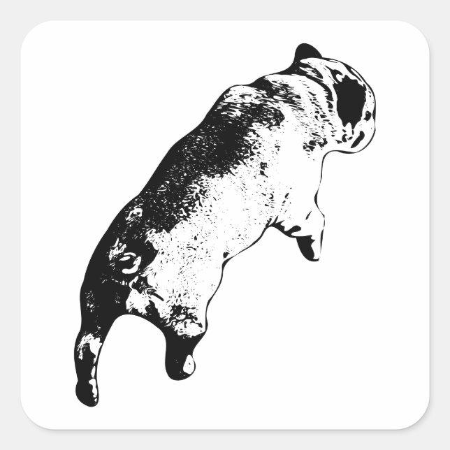 Pegatina Cuadrada Fresh Motion (Anverso)