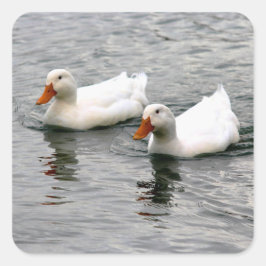 Pegatina Cuadrada Friends For Life