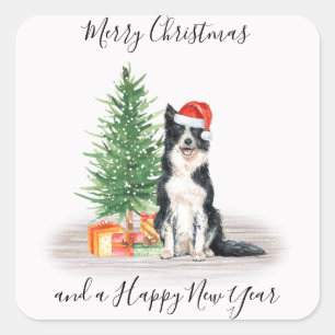 Pegatina Cuadrada Frontera Collie Santa Dog Feliz Navidad