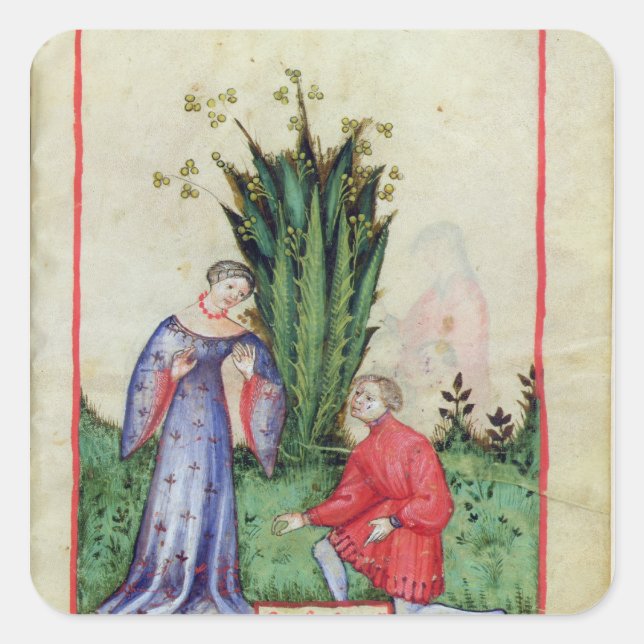 Pegatina Cuadrada Fruta de Mandrake, de 'Tacuinum Sanitatis' (Anverso)