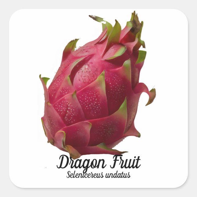 Pegatina Cuadrada Fruta del dragón (Anverso)