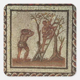 Pegatina Cuadrada Frutas de picar, mosaico romano