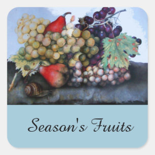 PEGATINA CUADRADA FRUTAS DE TEMPORADA 1 - GRAPAS Y PERLAS