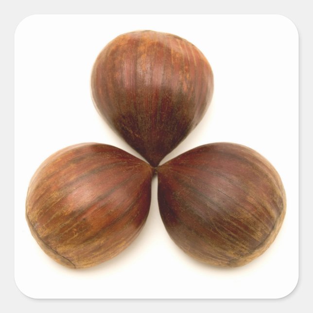 Pegatina Cuadrada Frutas dulces de castañas (Anverso)