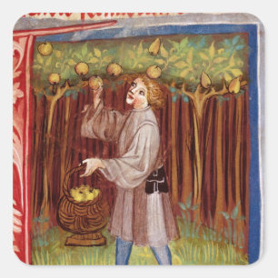 Pegatina Cuadrada Fruto de la cosecha