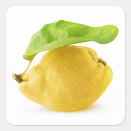 Pegatina Cuadrada Fruto de quinceañera