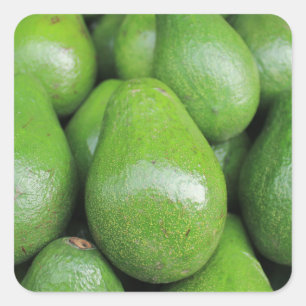 Pegatina Cuadrada Frutos de aguacate verde fresco