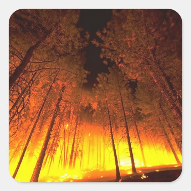Pegatina Cuadrada Fuego forestal (Anverso)