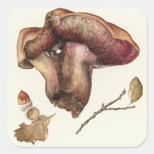 Pegatina Cuadrada Fungus (Anverso)