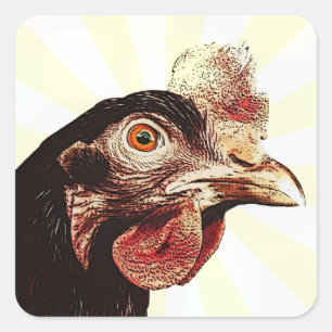 Pegatina Cuadrada Funky Grumpy Chicken Superstar