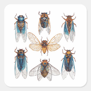Pegatina Cuadrada Funny Cicadas Insect Bug Gráfico Cicada Lover