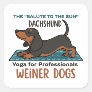 Pegatina Cuadrada Funny dachshund doing the sun salutation (yoga)