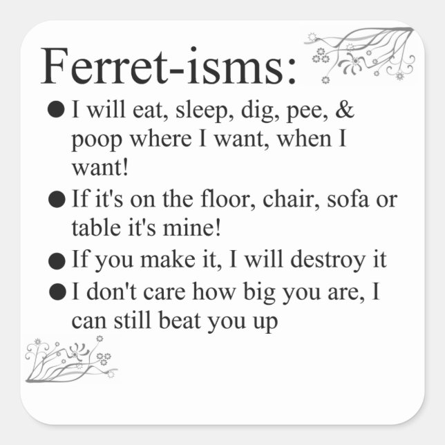 Pegatina Cuadrada Funny Ferrets (Anverso)