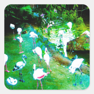 Pegatina Cuadrada Funny Pink Flamingoes Wildlife