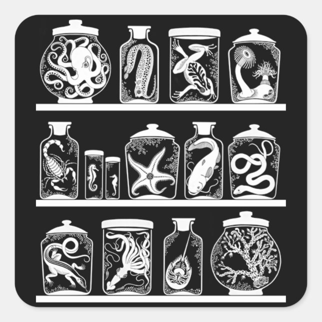 Pegatina Cuadrada Gabinete de curiosidad de OPUS (Anverso)