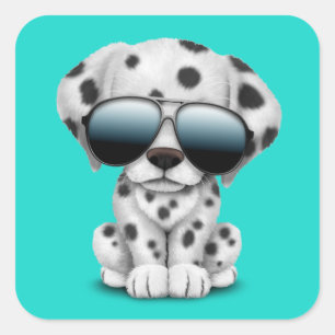 Pegatina Cuadrada Gafas de sol que llevan dálmatas lindas del perro