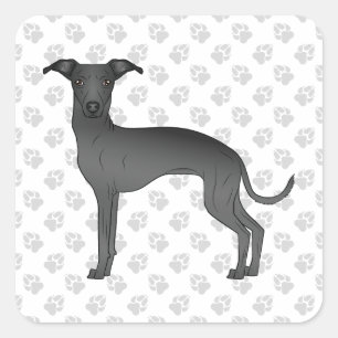 Pegatina Cuadrada Galgo italiano negro perro de dibujos animados lin