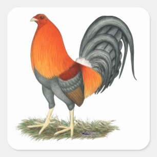 Pegatina Cuadrada Gallo Azul Rojo Gamecock