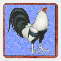 Gallo de pelea enmarcado