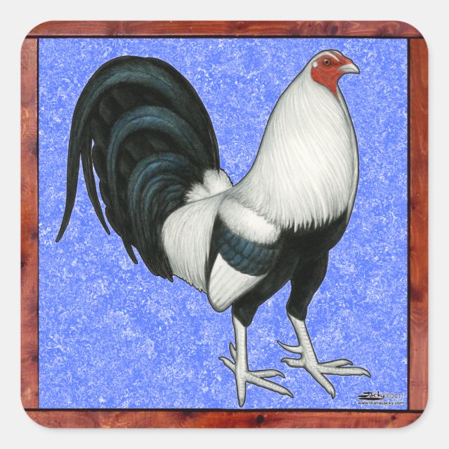 Pegatina Cuadrada Gallo de pelea enmarcado (Anverso)