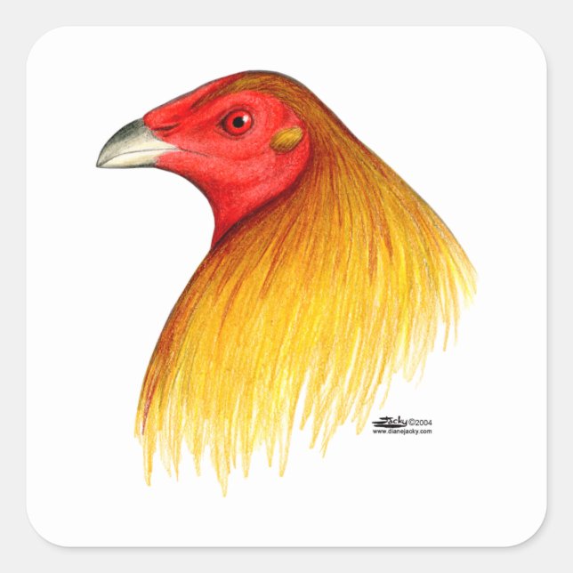 Pegatina Cuadrada Gallo de pelea recortado (Anverso)