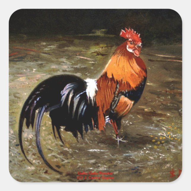 Pegatina Cuadrada Gallo/Galo/Rooster (Anverso)
